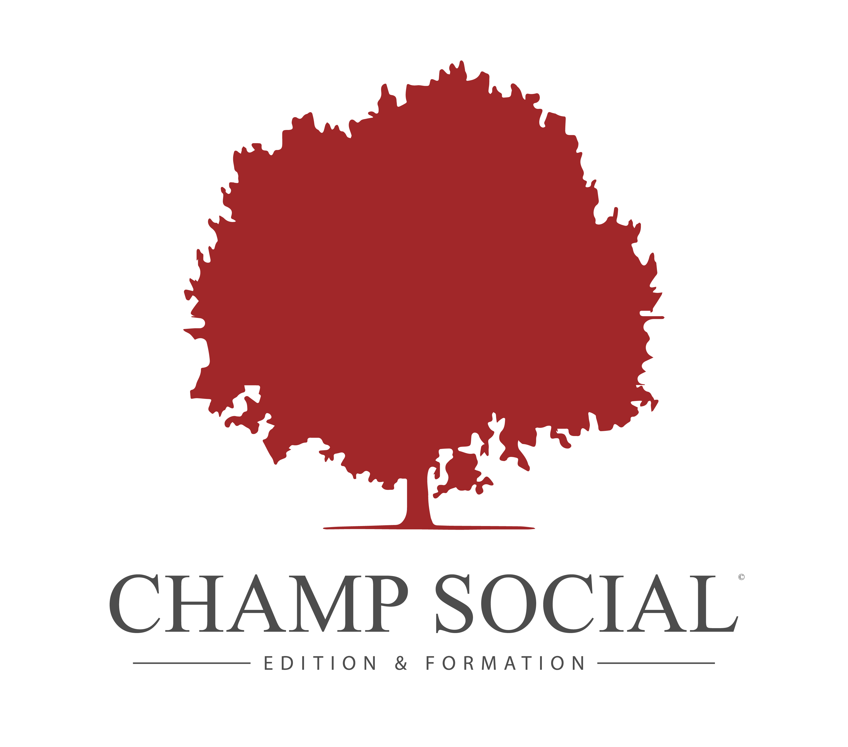 Logo Champ Social
